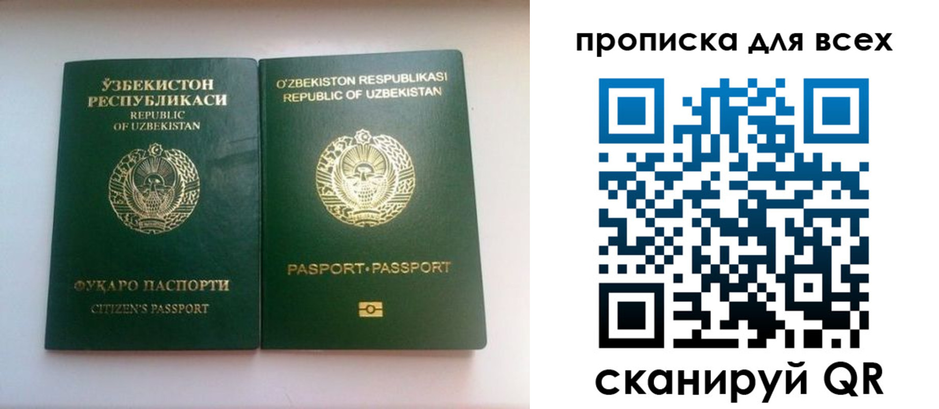 прописка для школы в Обояни